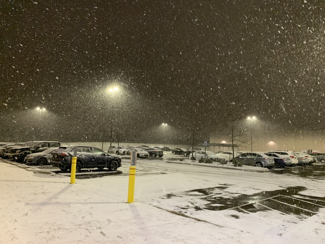 A surprise snow with large snowflakes Burlington, ON