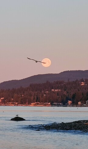 Worm moon setting on March 8 West Vancouver, BC