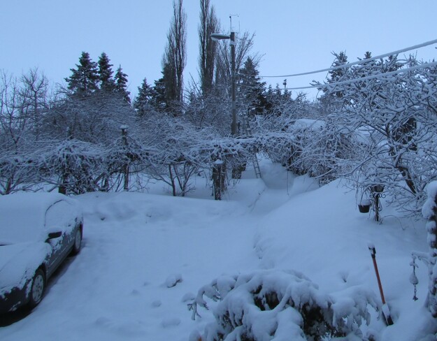 Un matin dans la neige Lac St Jean, Québec