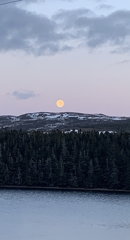 Beautiful moon a rising Marystown, Newfoundland and Labrador, CA