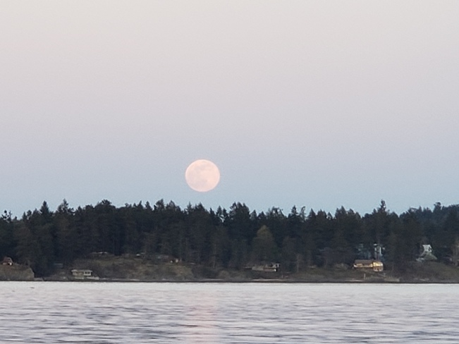 Big Moon over Northwest Bay Nanoose Bay, BC