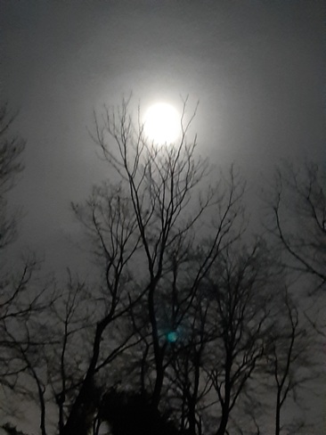 magnifique lune Blainville, QC