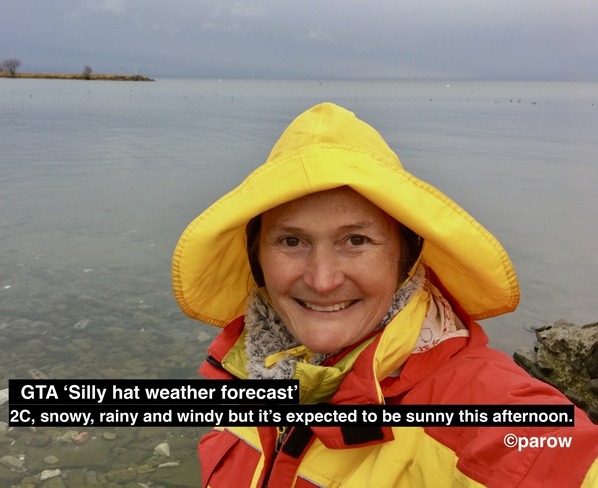Seagull photo bomb on silly hat weather forecast, rain but sunny later Toronto, ON