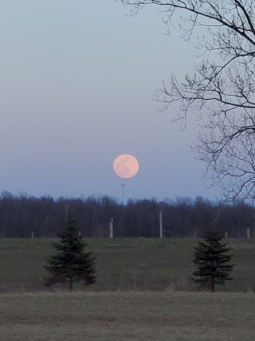 Pink full moon Monkland, North Stormont, ON