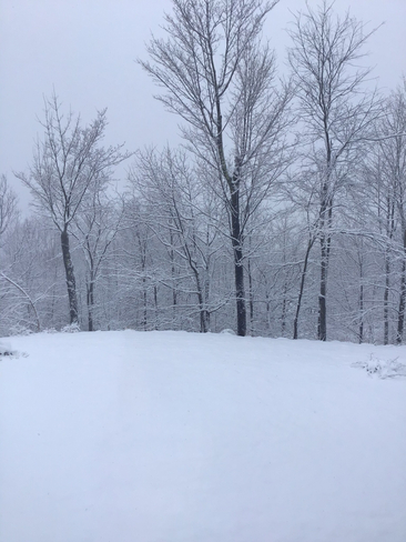 DerniÃ¨re neige Shefford, Québec | J2M 1N9