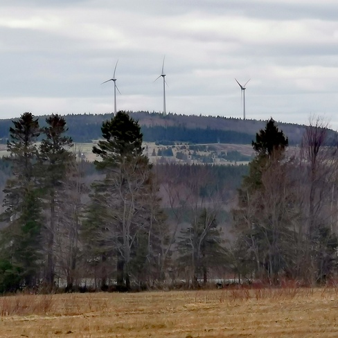 Éoliennes Saint-Ferdinand, QC