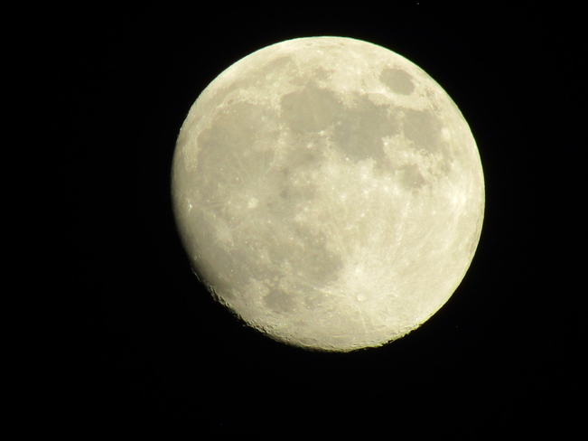 Last nights moon almost full ... Ottawa, Ontario, CA