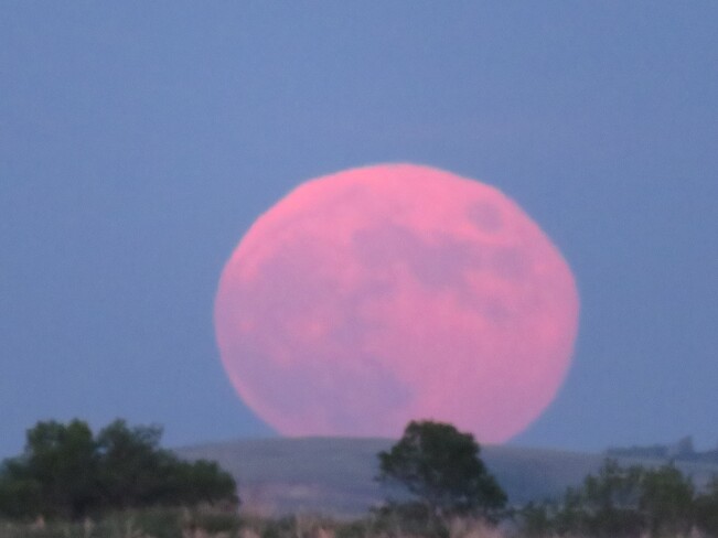 Strawberry Full Moon Buffalo Pound Lake, Saskatchewan