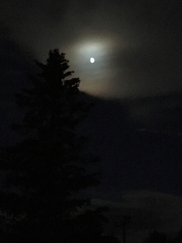 Noir de lune Morin-Heights, Québec, CA