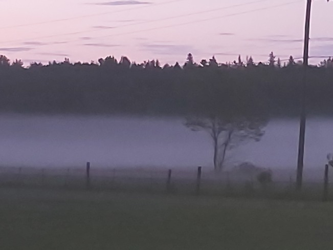 fog Huckabones Corners, ON