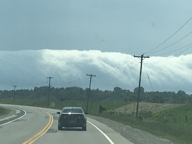 Never seen these clouds before! Camlachie, Plympton-Wyoming, ON