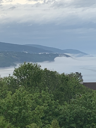 Brouillard dans les montagnes La Malbaie--Pointe-au-Pic, Québec, CA