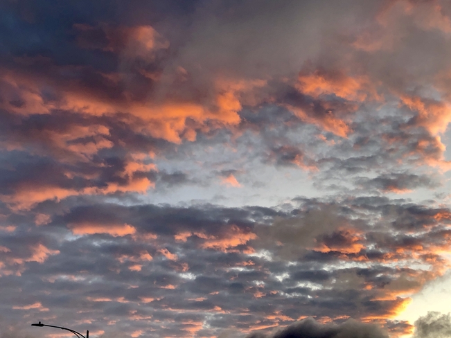 Morning sky after Isaias. Dorval, Quebec, CA