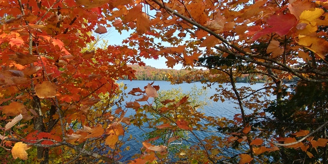 couleur d,automne Sainte-Adèle, QC