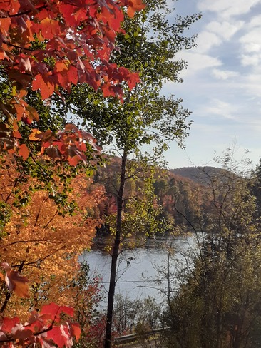 les couleurs d'automne Saint-Faustin--Lac-Carré, QC