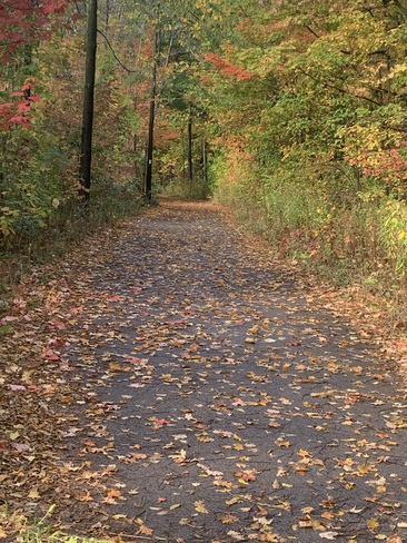 Fall morning Hamilton, Ontario | L8J 1P6