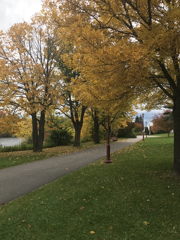 L’automne et ses couleurs par Robert Shatner Tremblay Saguenay, Québec, CA
