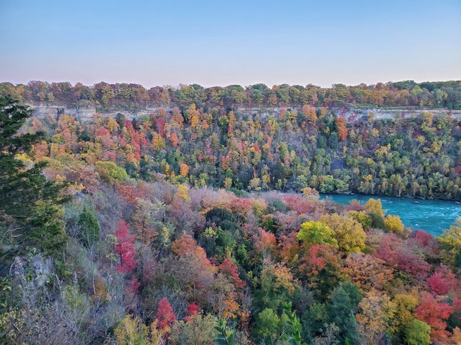 Beautiful Fall Colours Niagara, ON
