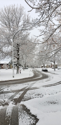 A street to winter wonderland Winnipeg, MB