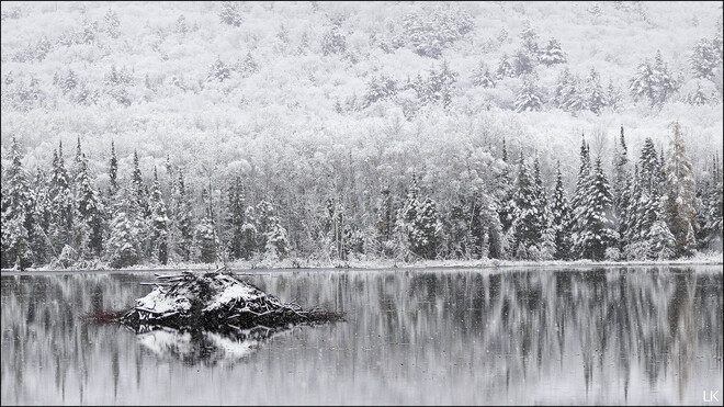 Morning snow, Elliot Lake. Elliot Lake, ON