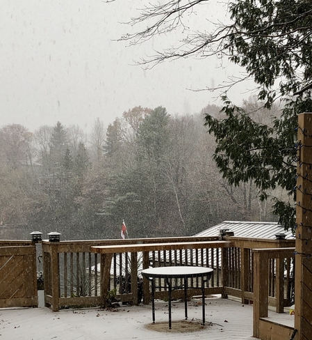 Snowy afternoon Tichborne, Ontario, CA