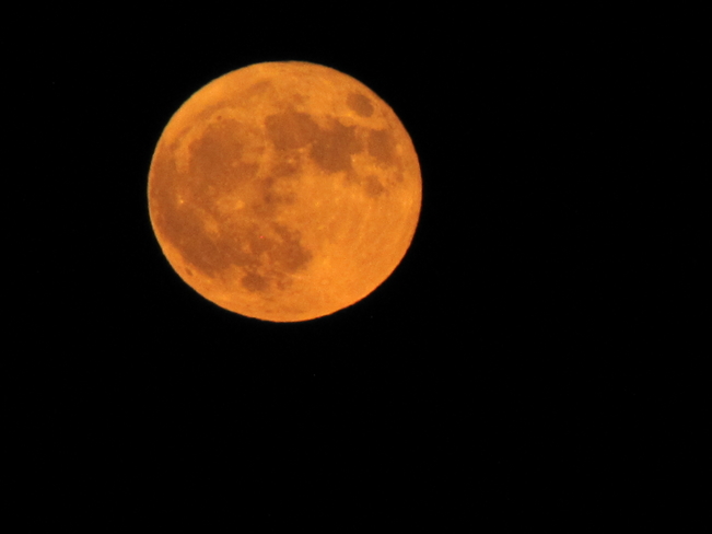 Halloween Blue Moon Frankford, Ontario, CA