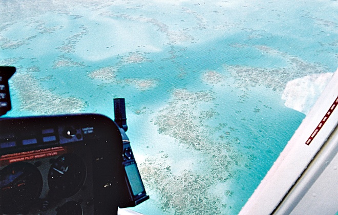 An Endangered Aussie Landmark Great Barrier Reef, QLD, Australia
