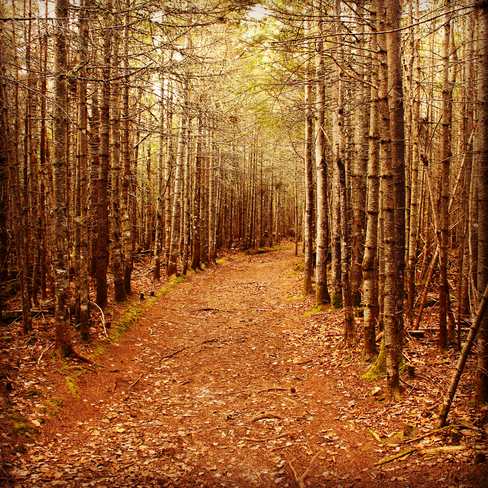 Chemin d automne Le Bic, Québec, CA