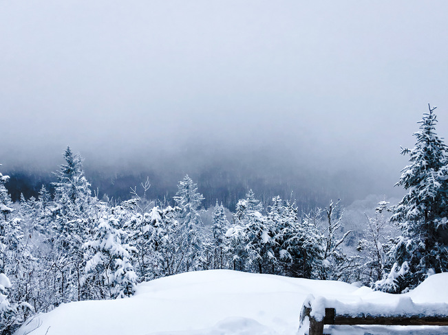 Couvert de neige Parc régional du Massif du Sud, Route du Massif-du-Sud, Saint-Philémon, QC