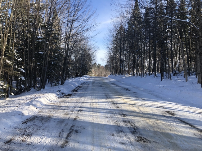 La course du midi Fossambault-sur-le-Lac, Québec | G3N 1W4