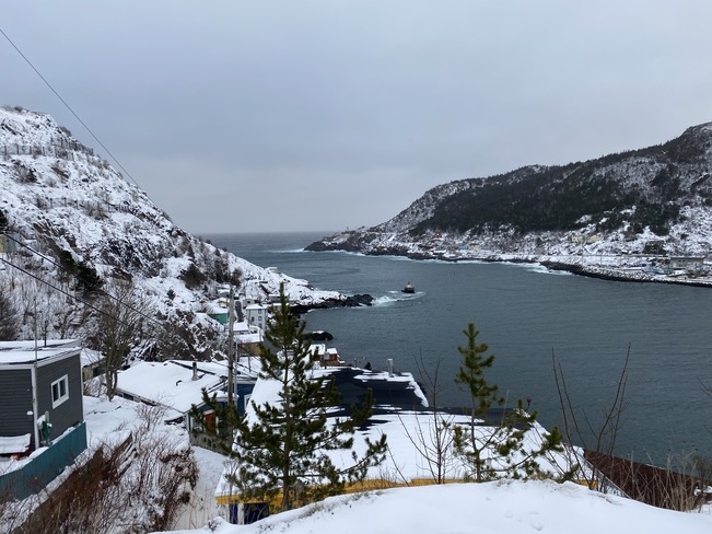 Petty Harbour and The Battery St. John's, NL