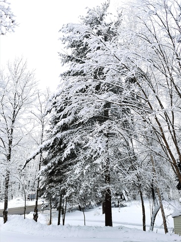 Snowfall Huntsville, ON