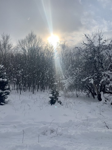 Soleil d’hiver Parc national du Mont-Saint-Bruno, Rang des Vingt Cinq Est, Saint-Bruno-de-Montarville, QC