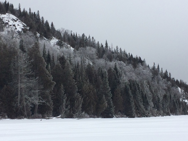Frosty Trees Wawa, ON