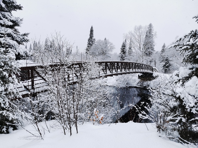 Winter bridge along the trail Algonquin Provincial Park, ON