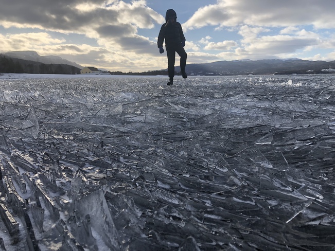 Shard ice on pasadena beach/deer lake Pasadena, Newfoundland and Labrador