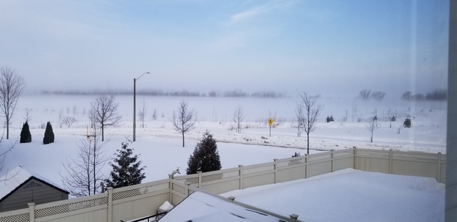 Fog Rolling In Over Park Ottawa, Ontario, CA