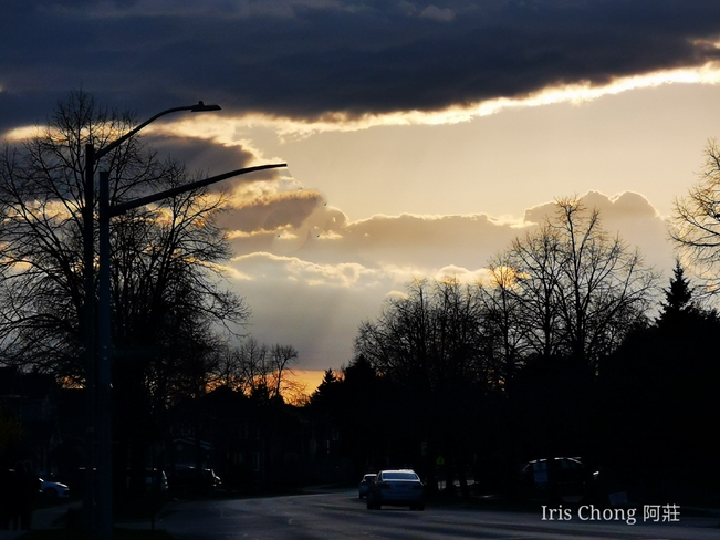 Sunset Nature Painting 7:25pm 12C Thornhill - April 17 2021 Thornhill, ON