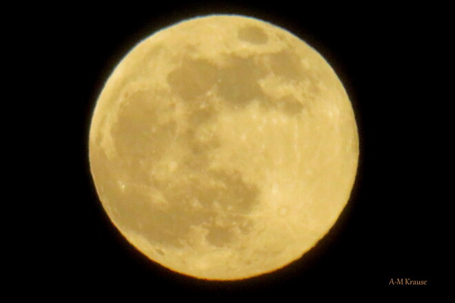 Pleine lune 26 avril 2021 Saint-Pierre-de-la-Rivière-du-Sud, QC