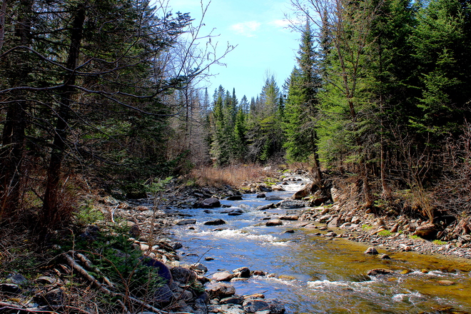 La rivière où coule la quiétude pastorale Québec, QC
