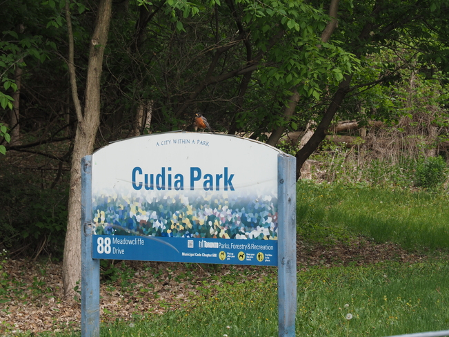 Cudia Park Cudia Park, Scarborough