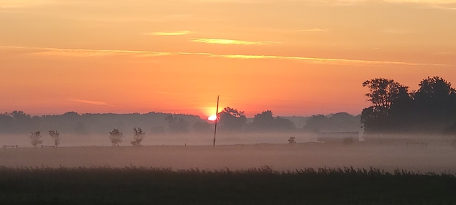 Foggy Father's day sunrise. Woodstock, ON