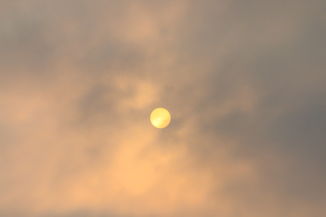 Smoggy Sun Halifax, NS