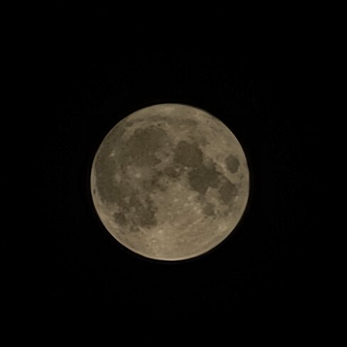 luna Saint-Césaire, QC