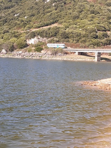 petit train du lac liscia Sant' Antonio, 88