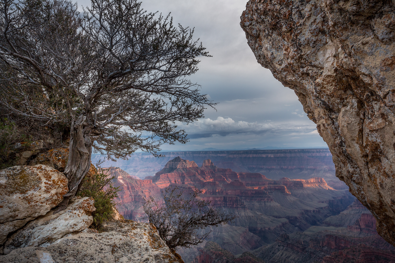 Grand Canyon National Park 