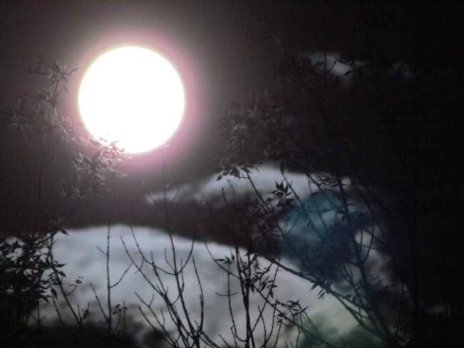 Pleine lune du mois d'aoust Hemmingford, QC