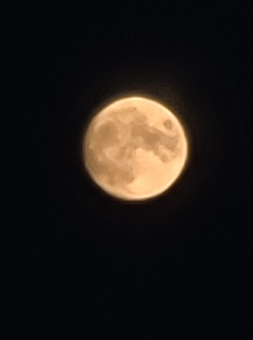 Moon rise in PEI Pownal, PE