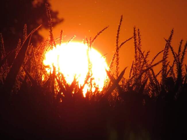 Coucher de Soleil en feu Saint-Anicet, QC
