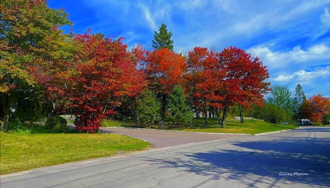 L'automne. Saguenay, QC